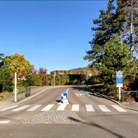 L'Appar'T - Centre Historique De Obernai 아파트 외부 사진
