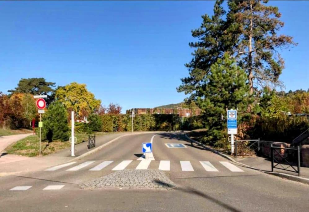 L'Appar'T - Centre Historique De Obernai 아파트 외부 사진