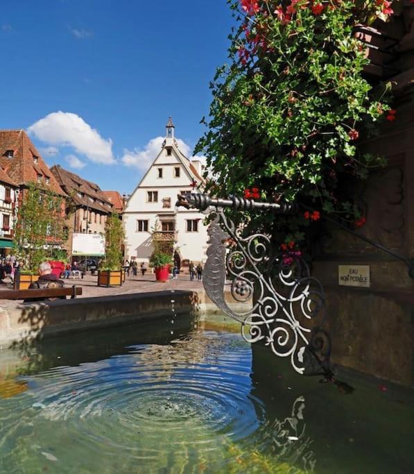 L'Appar'T - Centre Historique De Obernai 아파트 외부 사진