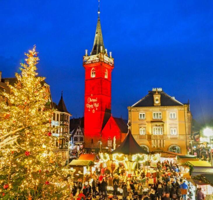 L'Appar'T - Centre Historique De Obernai 아파트 외부 사진
