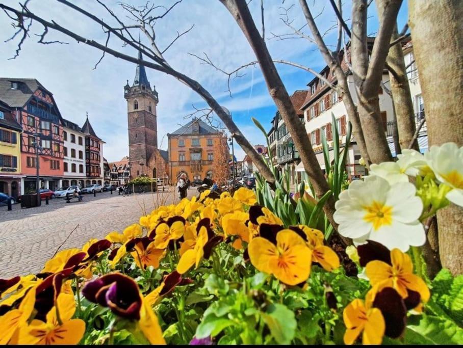 L'Appar'T - Centre Historique De Obernai 아파트 외부 사진
