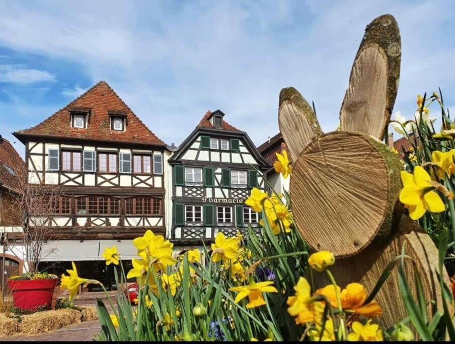 L'Appar'T - Centre Historique De Obernai 아파트 외부 사진