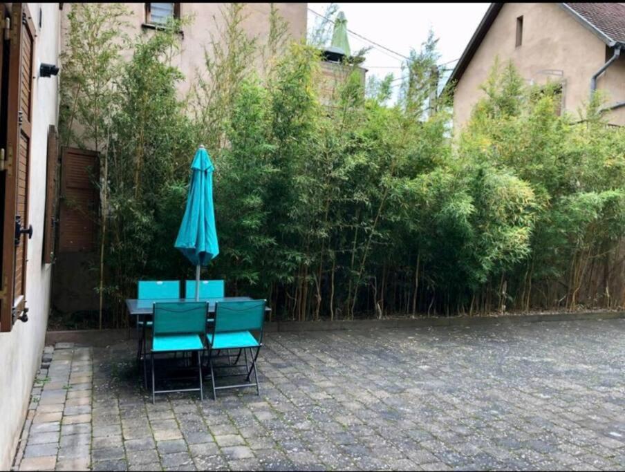L'Appar'T - Centre Historique De Obernai 아파트 외부 사진