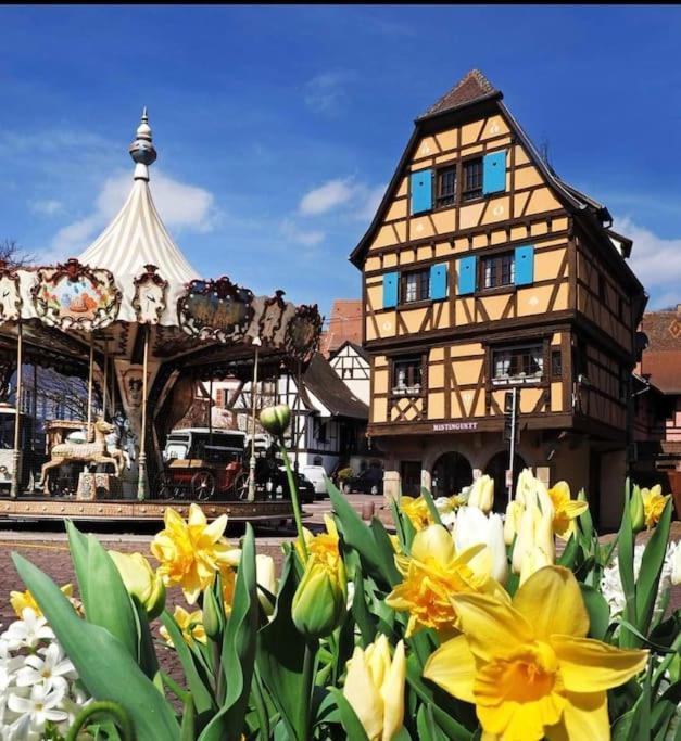 L'Appar'T - Centre Historique De Obernai 아파트 외부 사진