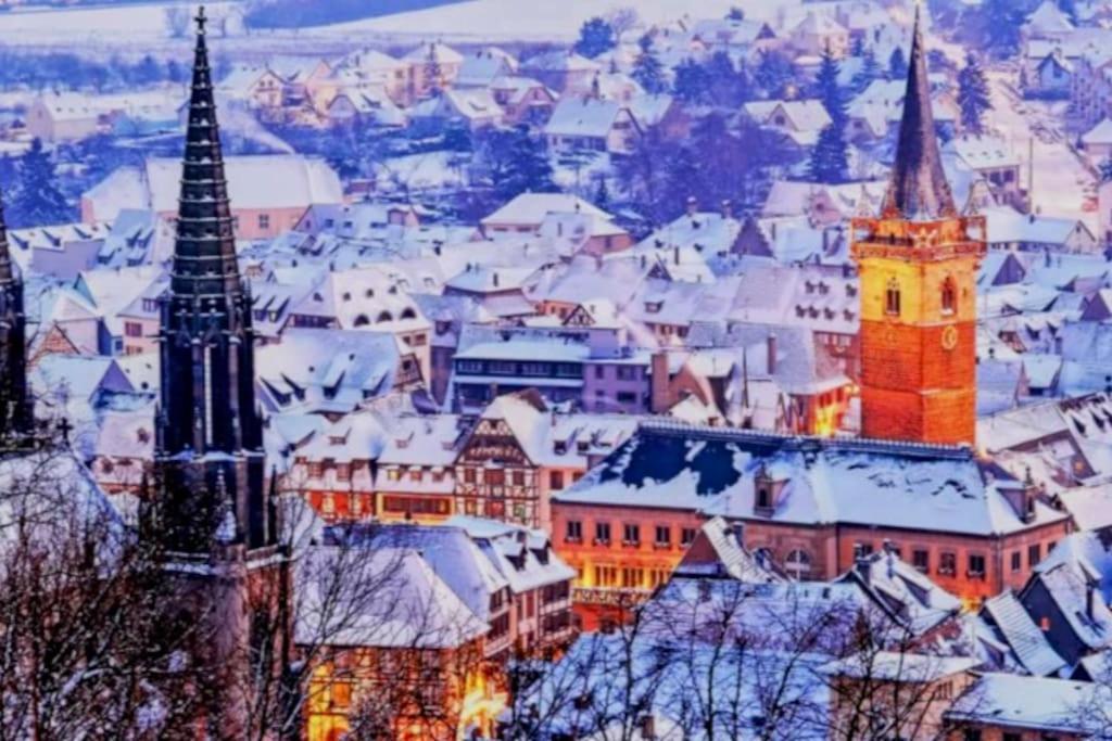 L'Appar'T - Centre Historique De Obernai 아파트 외부 사진