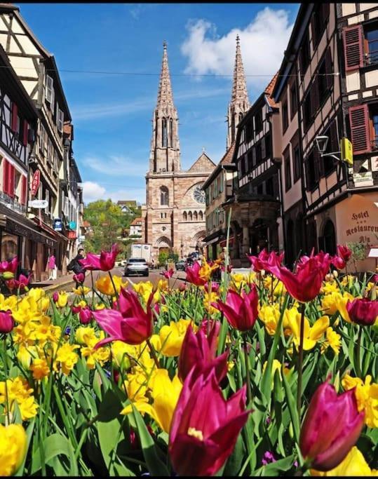 L'Appar'T - Centre Historique De Obernai 아파트 외부 사진